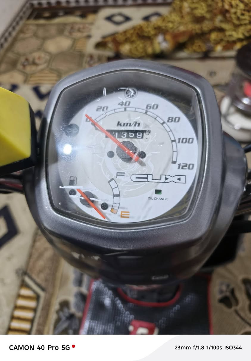 سلام وعليكم شباب
__دراجه بوليس للبيع__
__دراجه كابريتر__
__كهربائيات كامله__
__مكفوله مكينه وكفرات__
__دهن اصلي__
__ترايك وين ميعجبك__
__زنون ابيض وسكن احمر+تحويله زنون اصفر وبنفسجي_
__اشاير٤شغاله__
دراجه كامله شباب وبلعافيه ع لياخذها
مكاني بغداد ليوسفيه📍
رقمي/‏‪***********‬‏/بي واتساب
لسعر 525وبيها مجال ولشراي يدلل 
ترهم مراوس مع فرق
ملاحضه لوياله صابغهن سلفر 🤍
