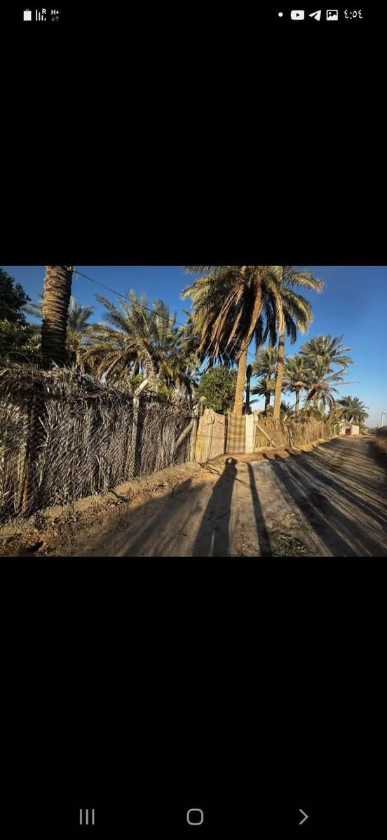 دونم 250 متر للبيع في مدخل 2 الاستفسار تصل على الرقم ***********
