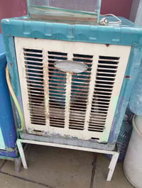 كركوك • شغال • بلا عيب