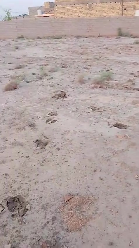 سلام عليكم ارض لبيع مساحه 1365التفاصيل داخل الفيديو الاستفسار اكثر على الرقم ***********
