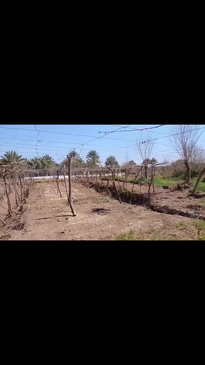 السلام عليكم يتوفر بستان للبيع أربعة دونم طابو زراعي سند 25 ديالى منصوريه الجبل قرب تقاطع الشوهاني تسقى سيح ماطور قطاس مسيجه مخدومه درجه اولى مزروعه عنب وباميه مقطه مزروعه أكثر التفاصيل ع الرقم أقرب داله تقاطع الشوهاني ***********
