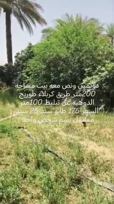 كاع مناسبه طابو25السعر الكلي175 مع الدار 
***********
***********
