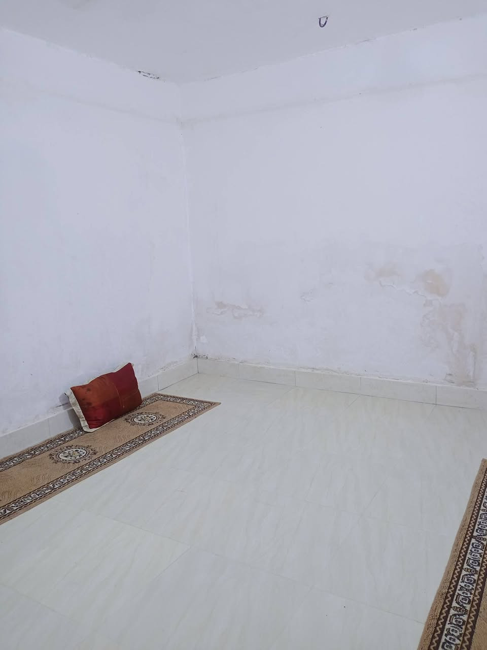 سلام عليكم بيت بزين العابدين قريب عل اربع سايدات بكاع الفحام البيت كله سيراميك كهرب كله جديده سعره ٦٠ وبي مجال تواصل ***********
