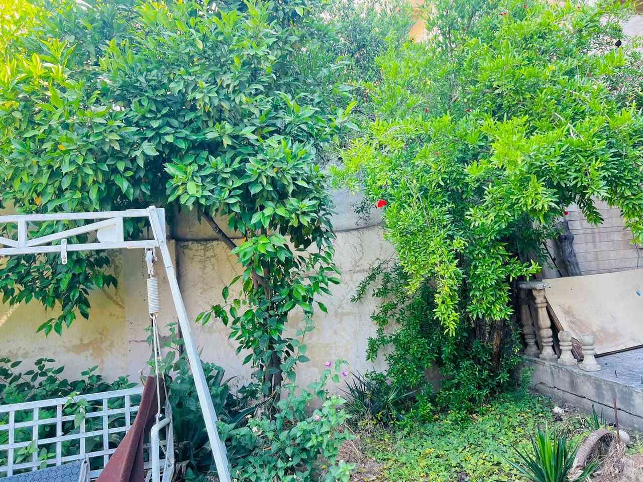 حدائقك بستان.. بأيدي ابن الموصل 🌿
السلام عليكم ورحمة الله وبركاته..
حابب تغير جو بيتك وتخلي حديقتك تفتح النفس بخدمتكم في كافة مناطق مدينة الموصل! 🪵🌸***********
​مستعدون لكافة خدمات الحدائق والترتيب:
​🌱 زراعة الثيل الطبيعي وترتيبه.
​🌹 زراعة الورد والأشجار بمختلف أنواعها.
​🌳 قلع الأشجار القديمة وتصفية الحديقة.

يتوفر رمل حديقه معه التوصيل أيضا 
​🔨 أعمال القلع والتفليش وتنظيف المكان بالكامل.
​شغل نظيف، سريع، وبأسعار طيبة ترضيكم إن شاء الله.
​📞 للتواصل والاستفسار:
​اتصال أو واتساب: 
​*********** متواجدون في جميع مناطق وأحياء الموصل، نصلكم أينما كنتم
