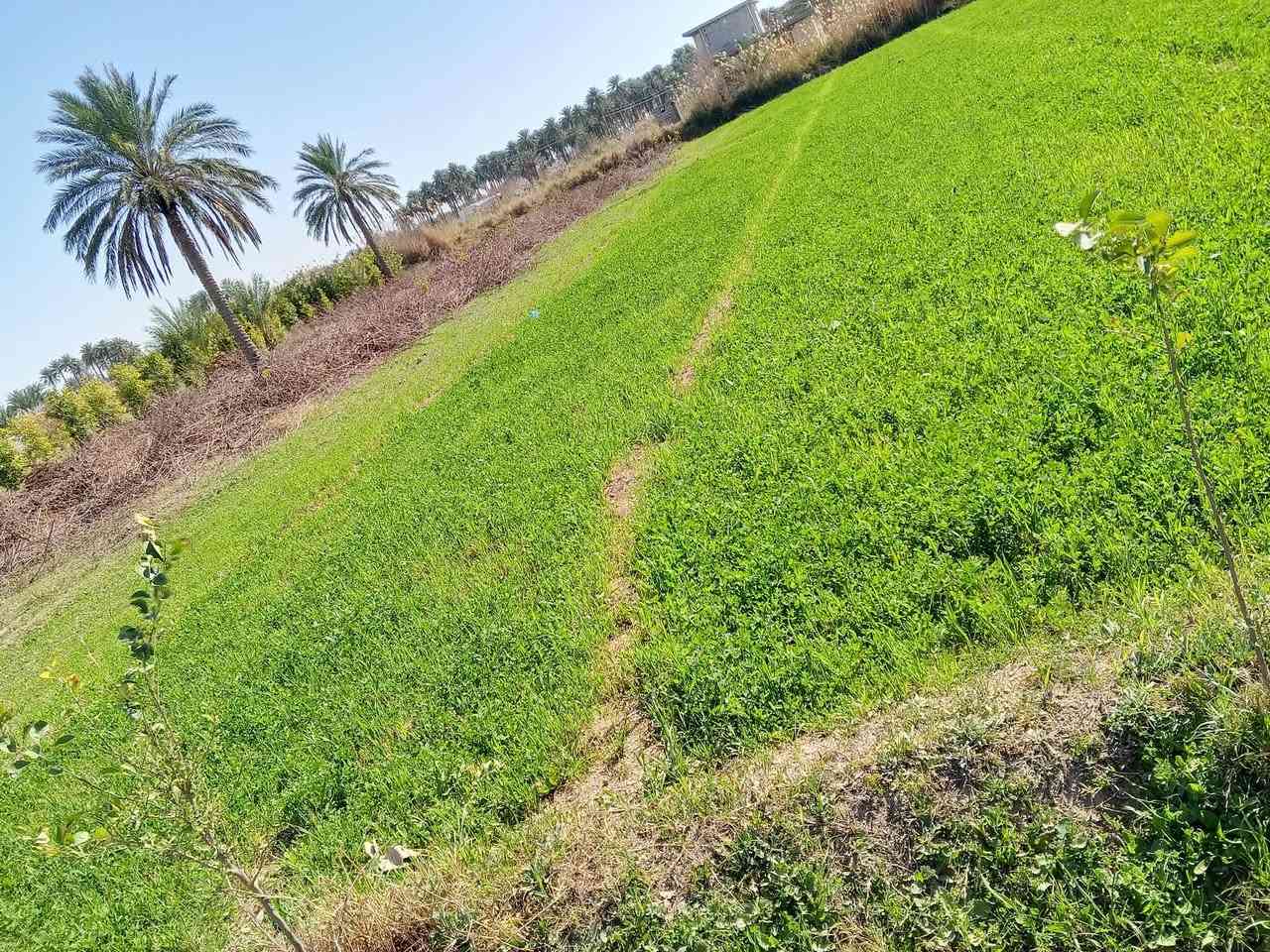 للبيع

دونم واجهيه 28نزال 89مي وكهرباء وتبليط  ب اسم صاحب الأرض تفاصيل اكثر اتصل ع الرقم 
*********** 
 المكان صقلاويه
