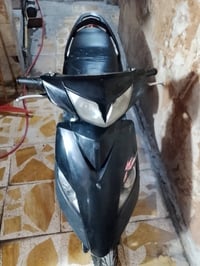 ماكس ثعلب • مشي قليل • حك