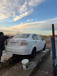 افيو • ٢٠١١ • الكوت