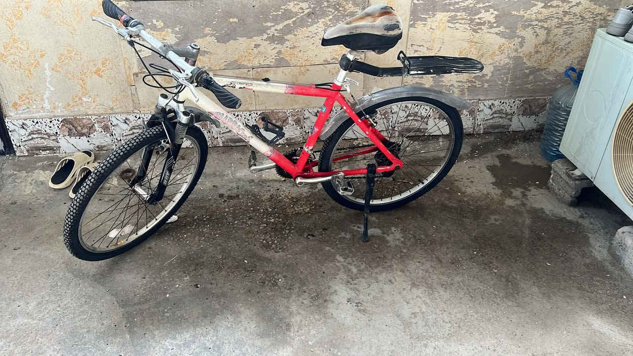 للبيع حجم 24 تاير جوب بريكات جدد بس الكيوره تعبانات السعر قيم


**إذا كنت صاحب هذا الإعلان وتريد حذفه لأي سبب، رجاءا أرسل رسالة إلى الدعم الفني**