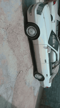 راس ثور موديل 97سياره بسمي شخصين
رقم انبار بسمي كفاله عامه من كص من ضربه جاهزه من كلشي مكينه 3000كفاله 
سياره جاهزه من كلشي شرط التحويل لا تكلي وكاله ولا شي تحويل مباشر بكاني بصره السعر 97 وبيه مجال الله شاهد سياره مال بيت وشرط للجناي اخذ وترحملي يشهد الله هاذ رقمي واني خادم للشراي
***********
