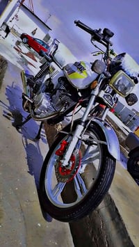 سافان 23 • أوراق أصلية • ديوانية