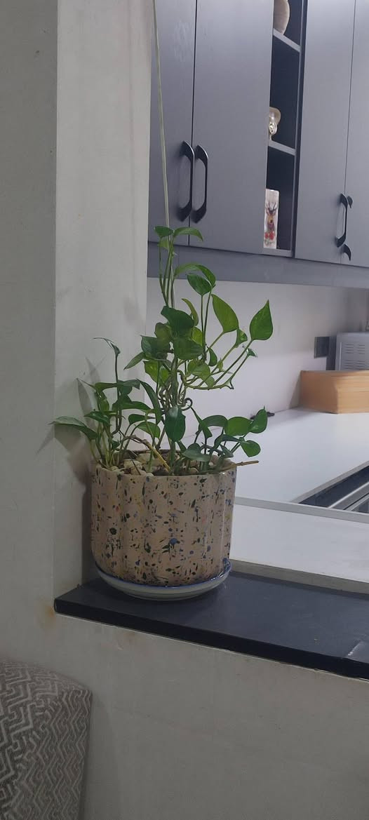 مرحبا عندنا هاي 33 شطل للبيع سعر 125


**إذا كنت صاحب هذا الإعلان وتريد حذفه لأي سبب، رجاءا أرسل رسالة إلى الدعم الفني**