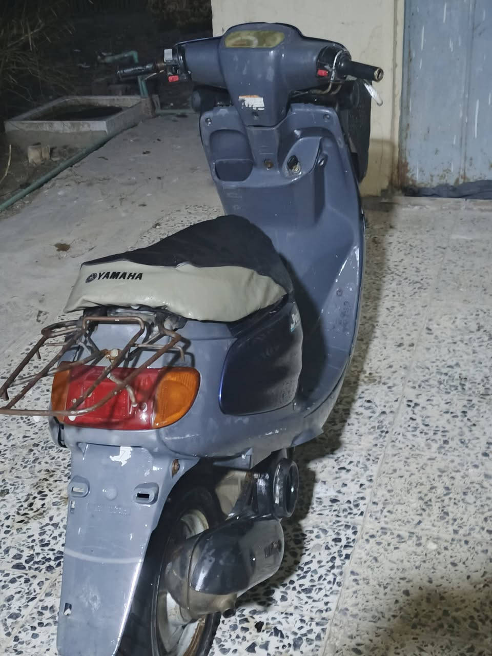 منغولي ام السله للبيع ***********
