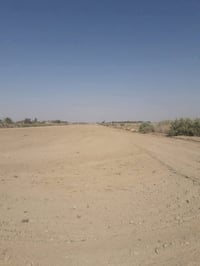 قطعة ارض • ارض للبيع • طابو زراعي • سند زراعي • ارض بابل • ارض جبلة • ...