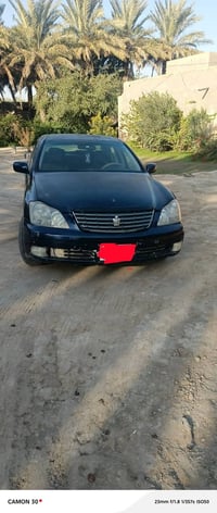 شاهينه • ماكو مشكلة • بابل