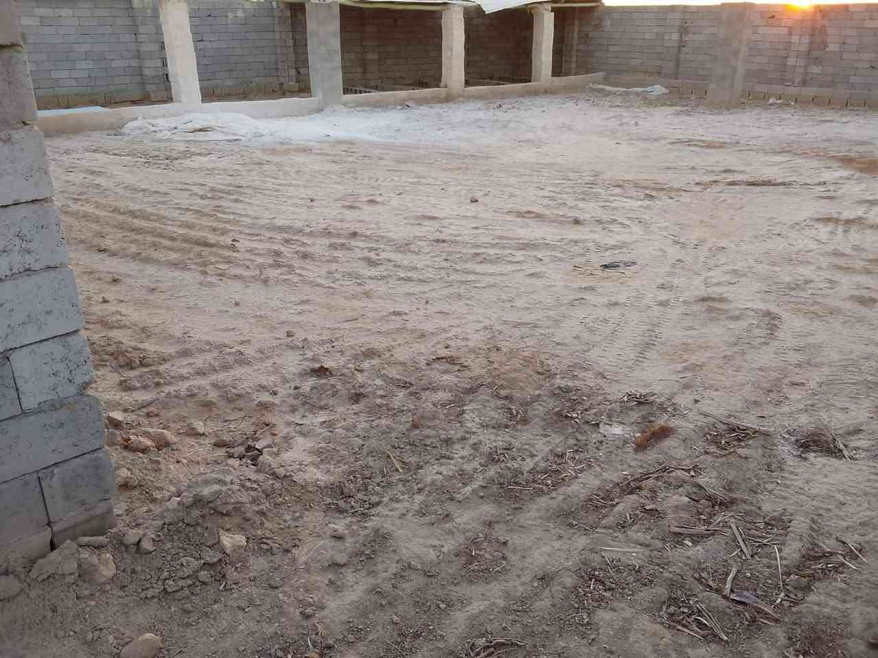 ارض زراعي سند ٢٥  ه دوانم و6  فيها ماء وكهرباء وحقل وبيت منطقه حسينيه مال دغاره***********.  البيع

