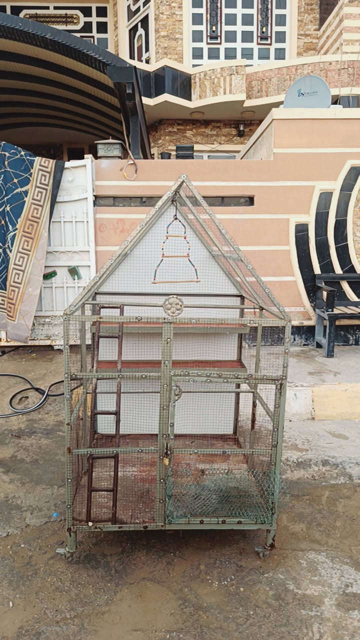 سلام عليكم قفص كنار البيع


**إذا كنت صاحب هذا الإعلان وتريد حذفه لأي سبب، رجاءا أرسل رسالة إلى الدعم الفني**