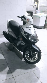 سكنس فحل • خمسينيه • ابيض اسود ازرك