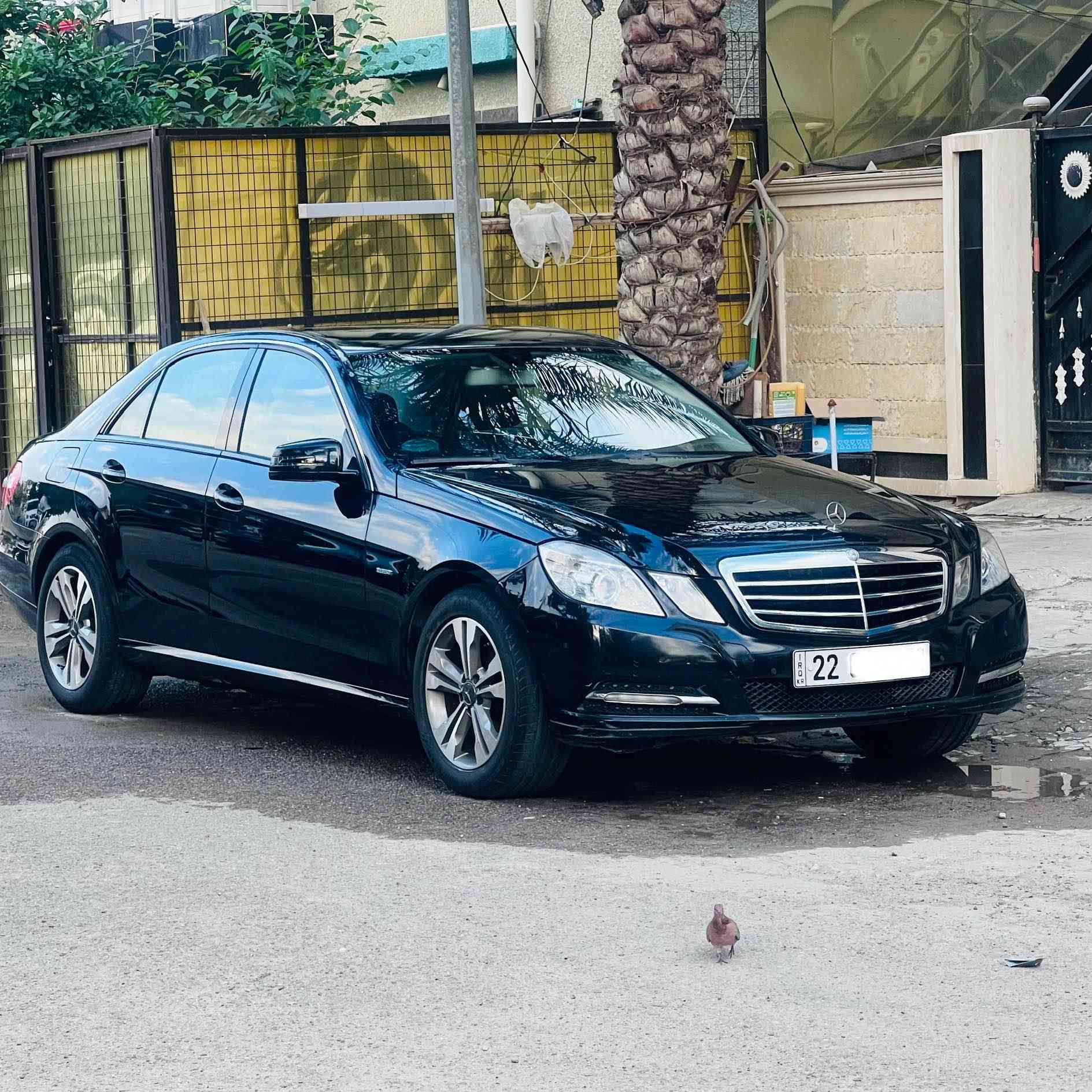 السلام عليكم 
للبيع فقط ومستعجل على البيع
السعر 129 مجال بسيط
مرسيدس E200 موديل 2011
محرك 4سلندر
وكاله باجكر اربيل
 وارد خليجي ماشيه 230 الف كيلو
بيه فقط براغي البنيد مفتوحه السياره جاهزه وبدون نقص 
اليگانس فول عدا الفتحه
حساسات امامي خلفي 
شاشه وسطيه 
دواخل صاج
وشاشه اعطال بالدشبول 
شاشه تبريد 
انظمه قياده سبورت وكومفورت 
كشن دينامك و كهرباء ⚡️ 
وبيها مواصفات  بعد 
اناره مخفيه بالدشبول وبالابواب 
وباقي المواصفات المعروفه 
رقم اربيل جديد باسمي تحويل او كاله ثاني يوم
هزه وفحص جديده 
مكانها بغداد اليرموك 
السعر 129 وبيها مجال بسيط 
***********متواجد وتساب بغداد, العراق
