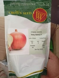 بصل المنهل • النجف الاشرف • متوفر بكل الفرعين