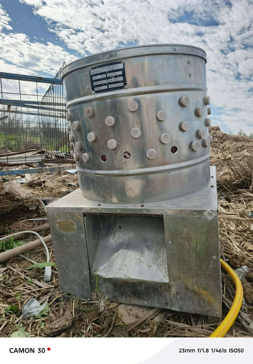 هلاسه دجاج درجه اوله
مع عدد اقفاص 2
للبيع 
رقم ***********
