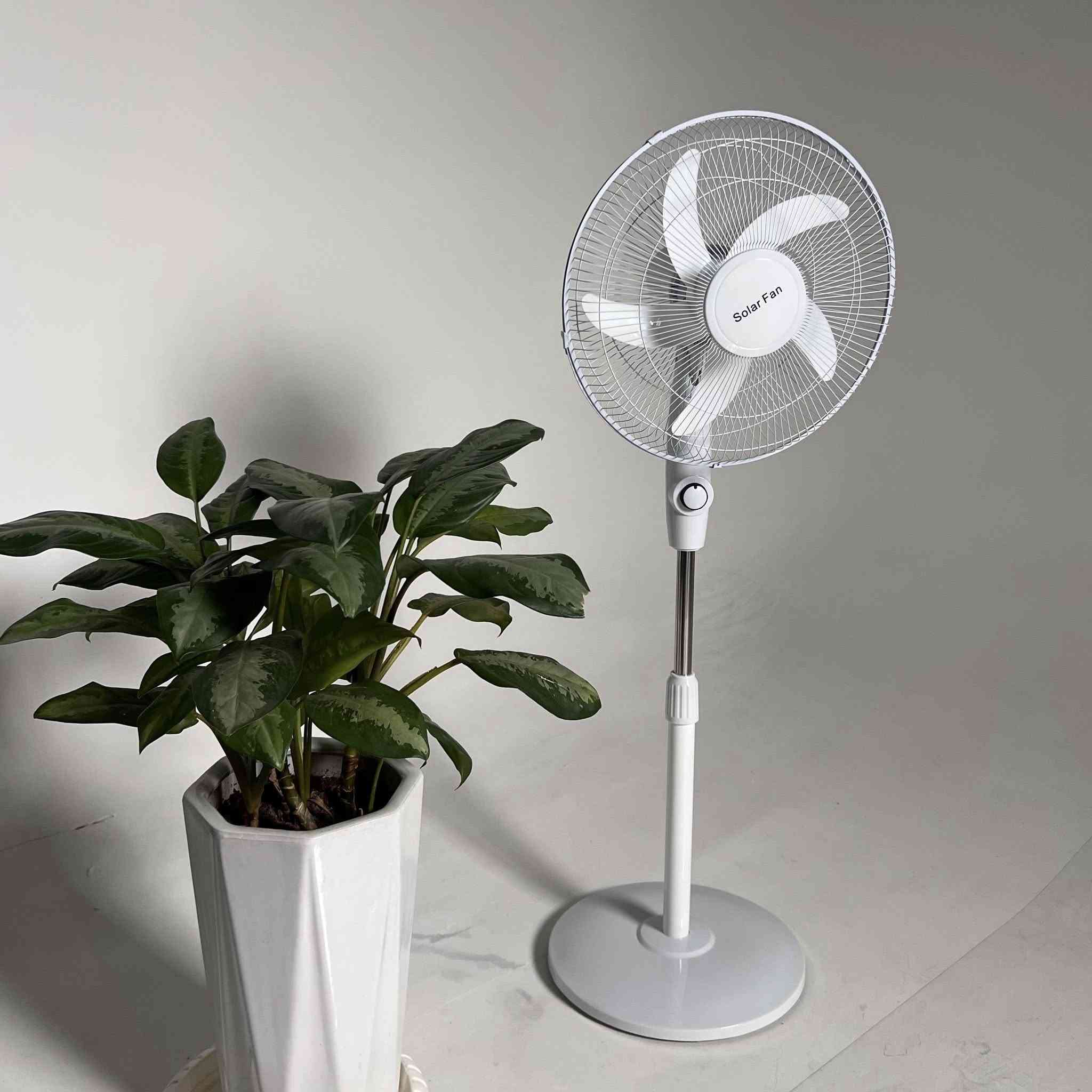 جايكم الصيف اخذوهه قبل ليصعد سعرهه مروحه عاموديه شحن 50 وتوصيل مجاني مواصفات عاليه
بدون لا أسلاك كهربائيه ولا هوسه  ووين متريد وياك برا اقل شي تنباع ب80 وفوك اصليه تخبل


**إذا كنت صاحب هذا الإعلان وتريد حذفه لأي سبب، رجاءا أرسل رسالة إلى الدعم الفني**