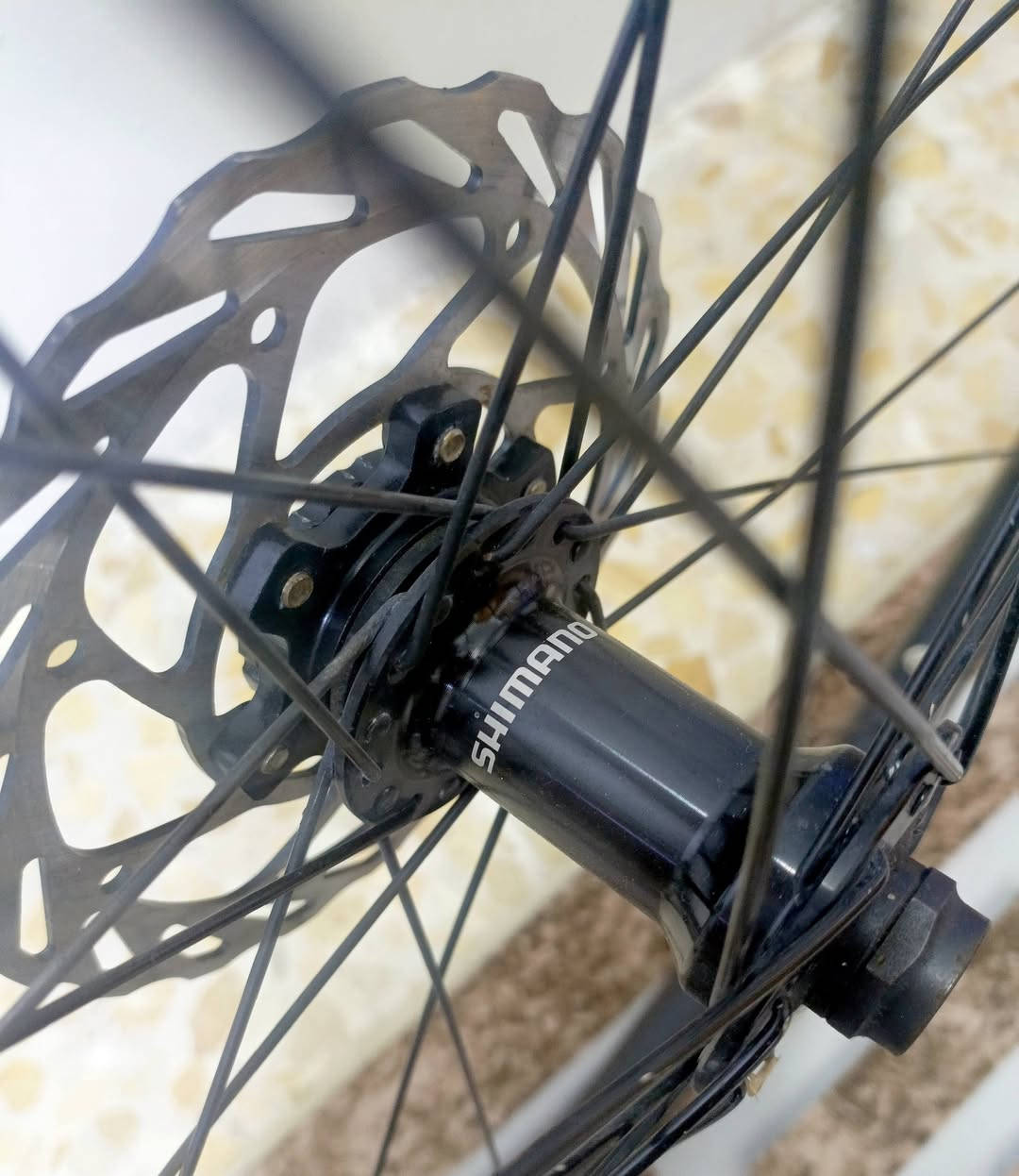 السلام عليكم شلون كباتن 🌄
متوفر ويالة كرافل ماركة اليكس رايمز بطيخات شيمانو اصلي ☺️🤩

نظام شفت سنتر لوك مع فلنجات ماركة Raceworkزوج قياس 140 💪🤗

تايرات ماركة كونتيننتال قياس 700*32 وجوابة وياهن 
يعني جيب وشد بالعافية عل يأخذهن 

سعر 125الف /بغداد القاهرة قرب حلويات عدنان 
***********
