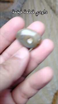 داودي • تفاصيل بالفيديو