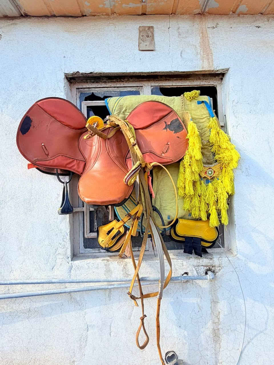 للبيع سرج كامل سعر 165وبي مجال ‏‪***********
