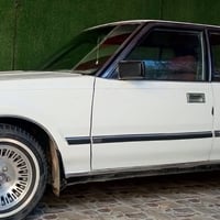 سوبر 85للييع  والسعر 80 أو مراوس ملكه  أو شاهينه أو ماجسته   تفاصيل ال...