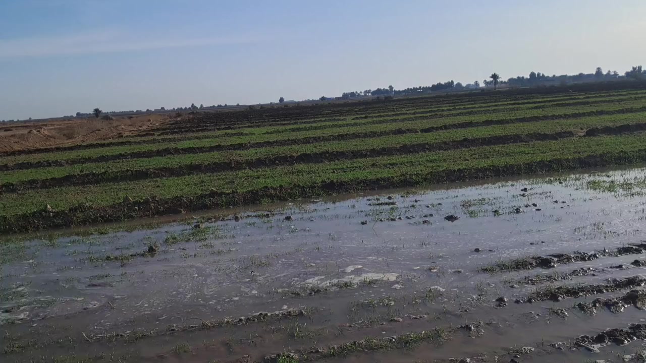 ارض زراعيه للبيع المساحه ٣٠ دونم عقد زراعي الخميسيه  نهر الخميسيه الوطيفيه صالحه للزراعه. مي متوفر 
..العقد مجدد ل الاستفسار...***********
