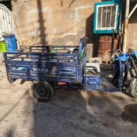 ستوته • خمس بطاريات • دولفين