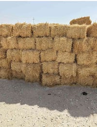 يوجد كبس للبيع طول 80 تواصل على 07834179342