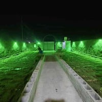 مزرعة • ٢٠٠م • طريق سنيه السياحي