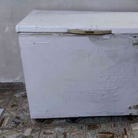 مجمدة • للبيع