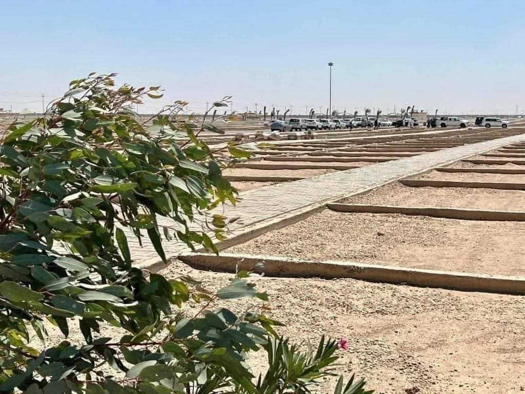 الدفان مؤمل الحاج حمودي 
البيع القطع الراضي النقد والتقسيط 
وعمال الصور وترميم القبور 
***********
