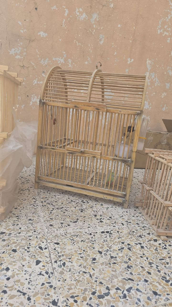 اغراض للبيع مكان حي سكر بسعر مناسب


**إذا كنت صاحب هذا الإعلان وتريد حذفه لأي سبب، رجاءا أرسل رسالة إلى الدعم الفني**