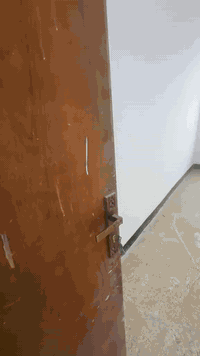 المبدع مهند كاظم
  صبغ خشب 

اختار منتجات بتك ونيبون اليابانيه 🇯🇵
 ودع الضمان يتحدث
ضمان حقيقي 10سنوات
الطلاء الأول في قارة أسيا و الشرق الأوسط 🥇🌏
الطلاء الاكثر عمرآ ‏و‎لألوان التي تدوم طويلآ 🌟
الشطرة قرب كسينه خدام ال محمد ***********
 #الشطرة #Betek #اصباغ #صباغين #interiordesign #baghdad #نيبون #بتك #شطر
