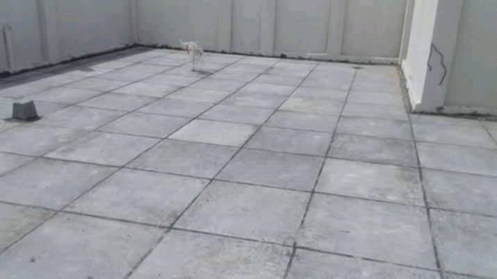 تطبيك كافة الصسطوح والدوار الحكومه بسعار متميزه  حسب طلب الزبون 

فلانكوت اماراتي زفت الدورة ماستك الدورة نايلون زراعي عمل شرط استلام مهندس***********//***********
