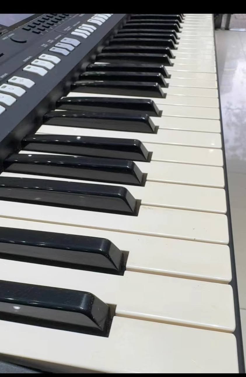 Yamaha psr s975 مستخدم بحاله الزيرو 

اظغط على رابط لمتابعه قناة واتساب 

https://whatsapp.com/channel/0029VbCDa442ER6q56ZhZM1Z


**إذا كنت صاحب هذا الإعلان وتريد حذفه لأي سبب، رجاءا أرسل رسالة إلى الدعم الفني**