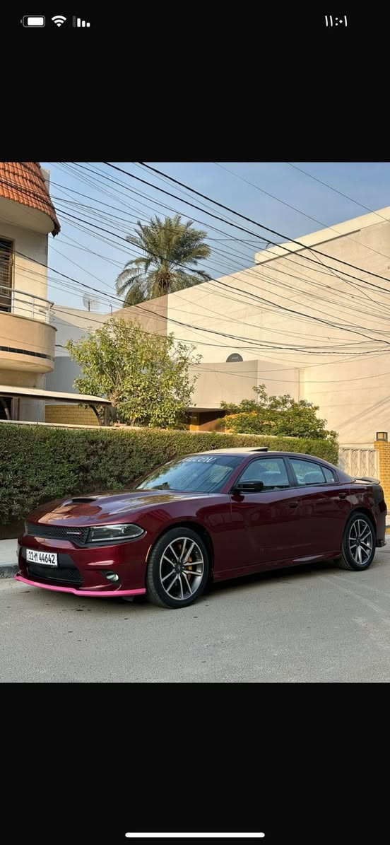 سلام عليكم
دلال جارجراات توفرت عندي كلشي كل الاوان وخليجي ومن ١٥ لل ٢٣ 

متوفر جارجرات SXT/GT/RT

حته هيلكات 

8 سنلدر و 6 سلندر  الي يدور وما لاكي موجود يمي بس دزلي مواصفات وتلكه عندي 

متوفر عندي من ١٥ لل ٢٣ جارجر جالنجر

وعندي سكات واس ار تي هيلكات كل الفئات مال جارجر وجالنجر موجود

توفرت عندي حالياً وجبه قويه اكثر من ٢٠ سياره و ٩٥٪؜ بيهن كلين واسعار مناسبه ارقام بس اربيل وسليمانيه و بغداد 

متوفر ٢٤ ساعه

تخابرني الفجر ارد عليك

للاستفسار ***********
