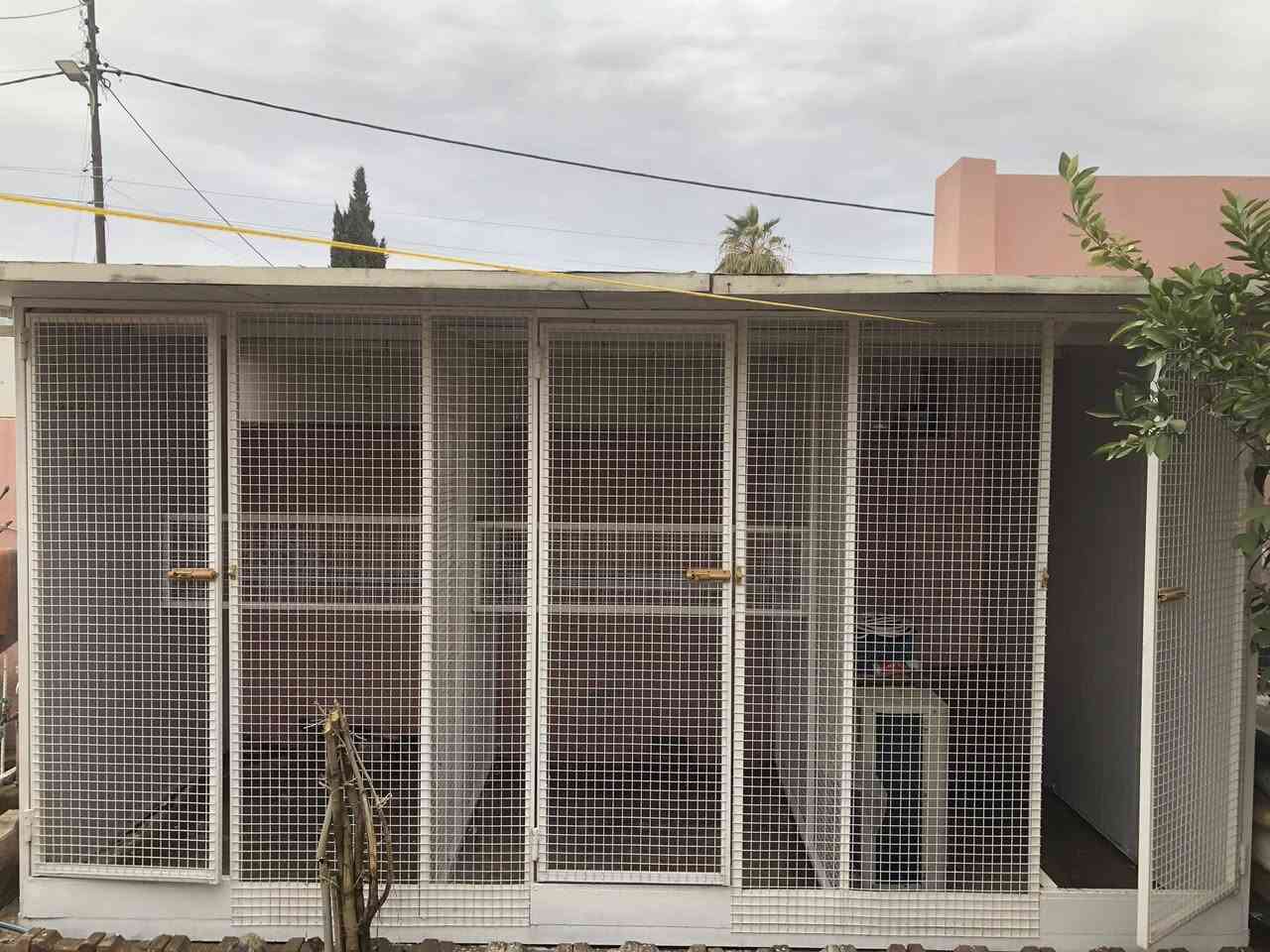 سلام عليكم
متاح قفص نظيف مثل ماواضح السقف سندويچ والأطراف ايضآ سندويچ الواجهة سيم بي ارسي من نوع القوي موخفيف القياس الطول 266 العرض 4 مقسم 3 خانات وبي حاضنات حديد السقف 5 ملم السعر خاص تحياتي


**إذا كنت صاحب هذا الإعلان وتريد حذفه لأي سبب، رجاءا أرسل رسالة إلى الدعم الفني**