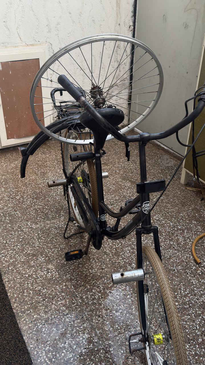 سلام عليكم مكلف بالنشر
باسكل بطه 

نسبه نظافه  100%

حاويه بلادي برغي ما عايز

السعر 125 وبي مجال 

اذا شراي تدلل من ناحيه السعر

مكاني النجف حي السلام خلف مدارس بانيقيا

متواجد واتساب  0750 679 4039‬
