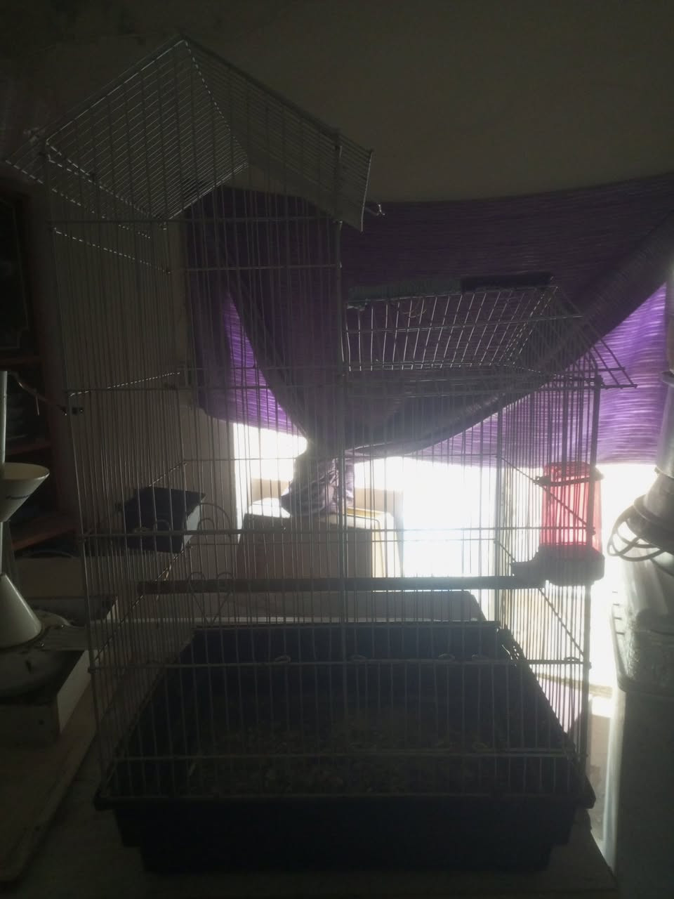 سلام عليكم عندي قفصين للبيع احجام كبيرة


**إذا كنت صاحب هذا الإعلان وتريد حذفه لأي سبب، رجاءا أرسل رسالة إلى الدعم الفني**