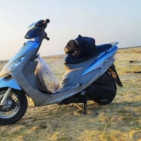 ماكس • مكفوله • نضيفه