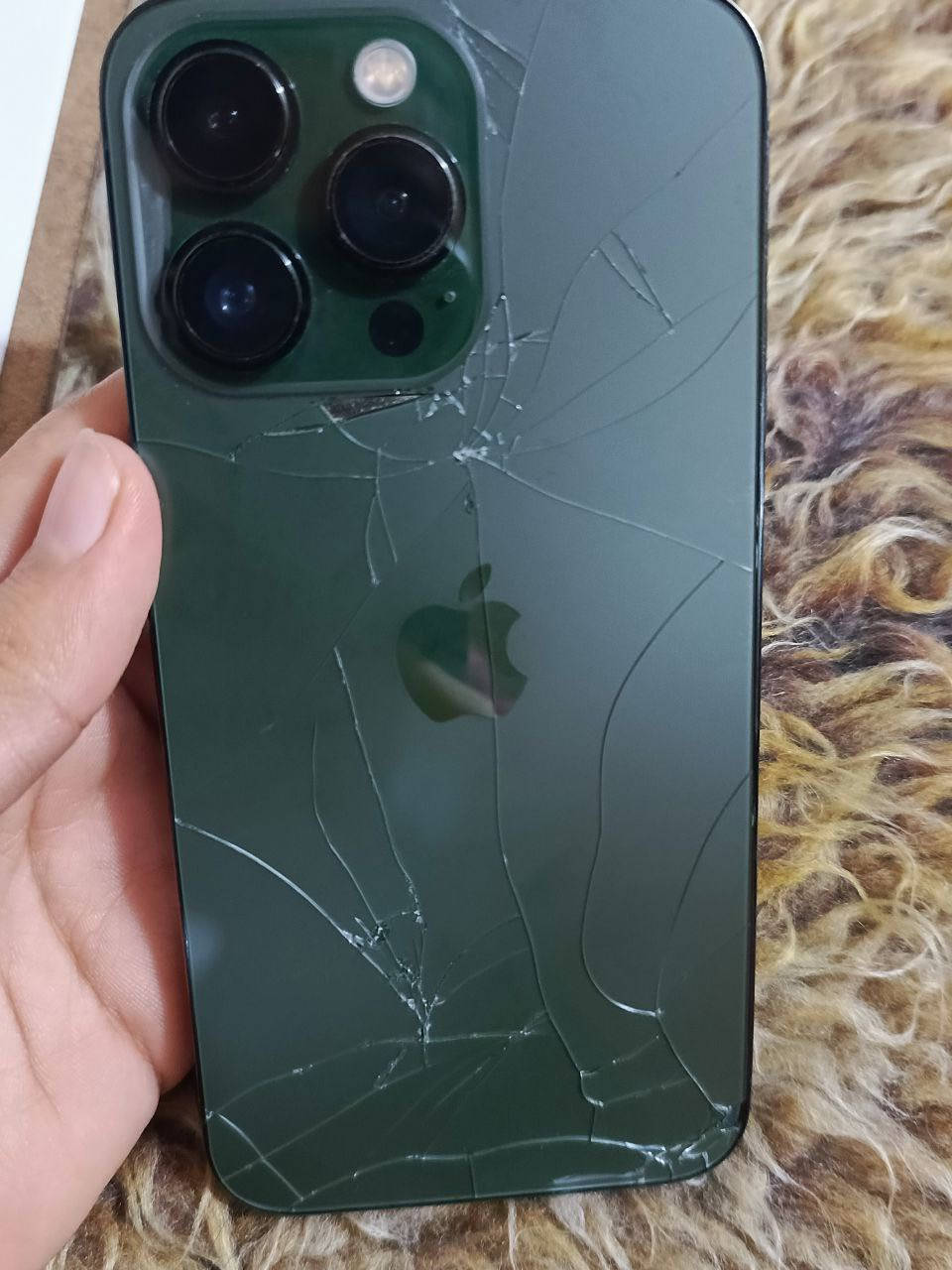 ايفون13 برو فقط 
ظهره مكسور ومبين بالصوره ومبدل شاشه 
ذاكره 128
شرق اوسط

مراوس ب13برو ماكس او 14 بلص وانطي فرق


**إذا كنت صاحب هذا الإعلان وتريد حذفه لأي سبب، رجاءا أرسل رسالة إلى الدعم الفني**