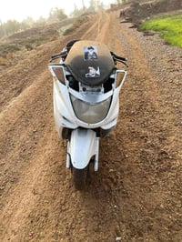 شباب موجوده دراجه ماجستي دبل رون مكينه 250 الدراجه كوم حديد السعر 250 ...