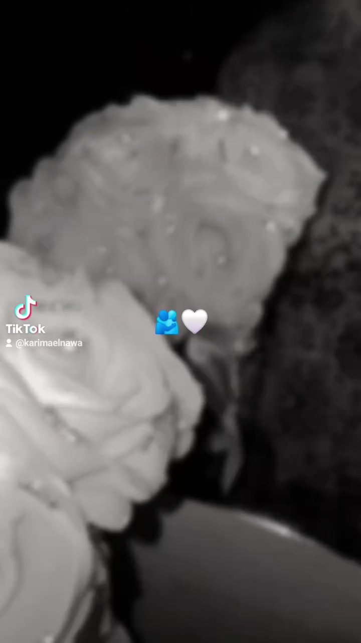 بوكيه الفرح مش مجرد ورد… ده تفصيلة بتكمل جمال العروسة في أهم يوم في حياتها 👰🏻‍♀️💐

متاح التنفيذ اي ديزين تحبوه 💗🎀

للطلب والاستفسار ابعتي رسالة على الصفحة 📩


**إذا كنت صاحب هذا الإعلان وتريد حذفه لأي سبب، رجاءا أرسل رسالة إلى الدعم الفني**