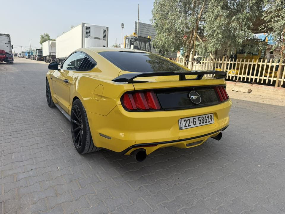 موستنك 2015خليجي كفاله عامه ايكو رقم اربيل تحويل وكاله السياره جديده وأحلى من الصور السعر 135 بيهه مجال مكان السياره النجف***********
