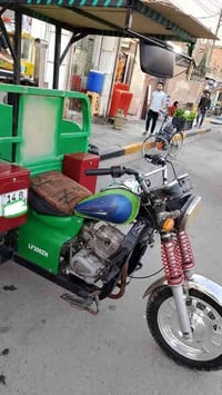 ستوته فرس للبيع مديل ١٦ رقم وسنويه باسمي للستفسار ٠٧٧١٦٧٤٠٤٦٩