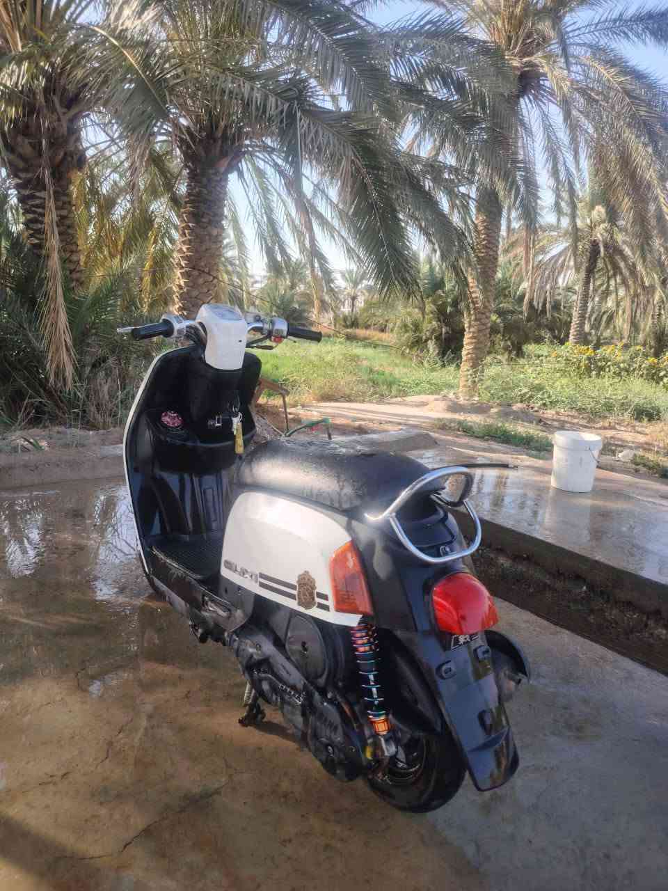 دراجه ماكس بوليس مكفوله كفاله عامه سلف هندر كهربائيات كله شغلاه دراجه ما مفتوح برغي واحد من عده دراجه خير من الله سعره 850 وبيه مجال بصيط مكاني ديوانيه 0788 330 0189
